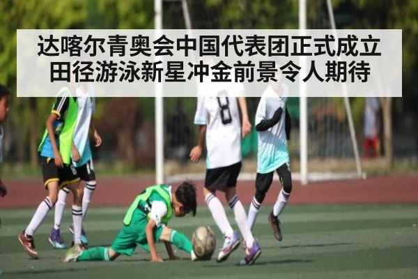 达喀尔青奥会中国代表团正式成立 田径游泳新星冲金前景令人期待（kaiyun）