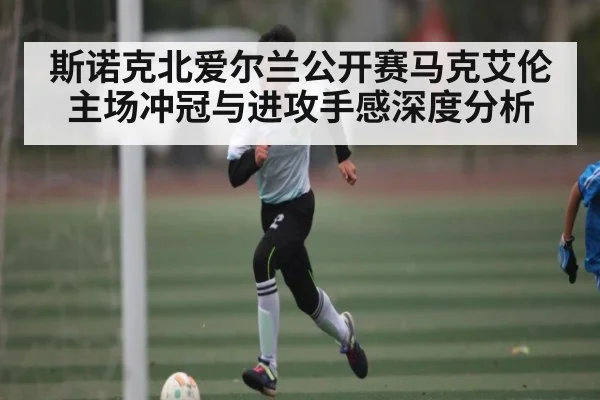 斯诺克北爱尔兰公开赛马克艾伦主场冲冠与进攻手感深度分析（kaiyun）